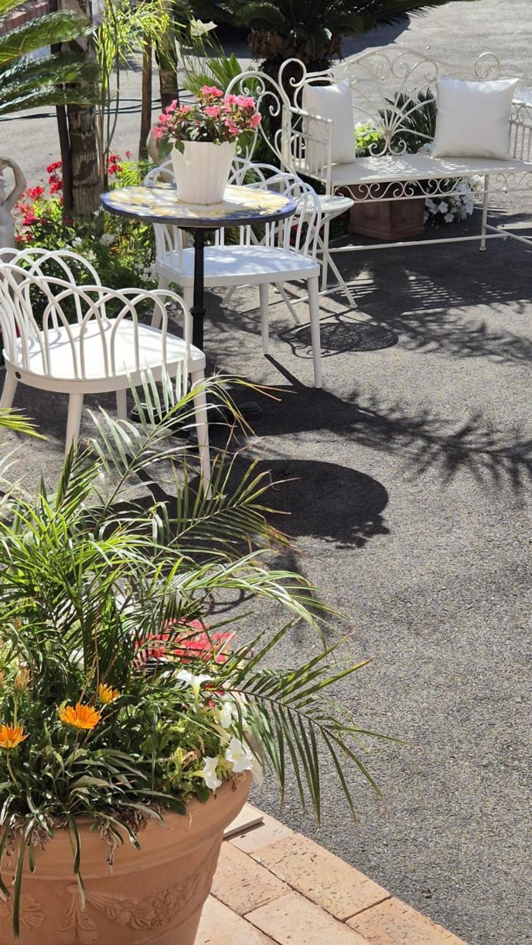 La Vigna Del Vento Bed & Breakfast Casola di Napoli ภายนอก รูปภาพ